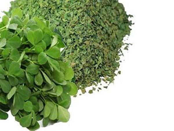 تصویر 5 از قیمت شنبلیله خشک عمده + خرید باور نکردنی